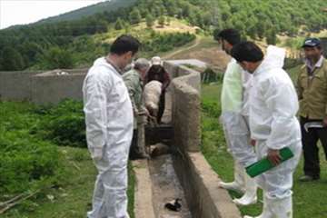 حمام ضد کنه  در مناطق ییلاقی گیلان