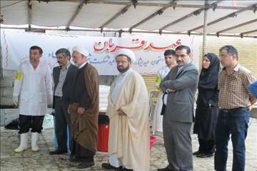 نظارت بهداشتی عید قربان 1395 گیلان به روایت تصویر