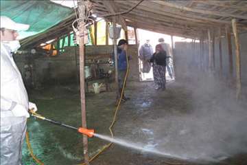 فعالیت های دامپزشکی گیلان در دهه فجر 1393