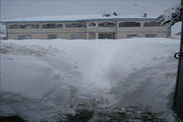 حضور رييس سازمان دامپزشكي و هيات همراه در مناطق برفگير گيلان