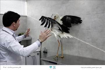 عکسهای منتخب جشنواره تخصصی بیطار