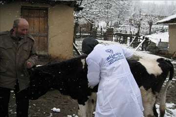 خدمات بهداشتی پیشگیری دامپزشکی گیلان -دهه فجر 94