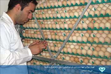 نمایشگاه عکس فعالیت های دامپزشکی