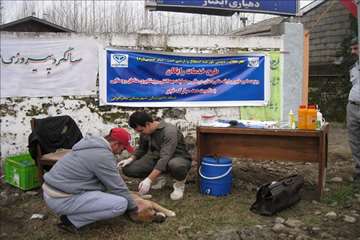 فعالیت های دامپزشکی گیلان در دهه فجر 1393