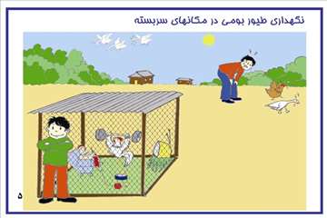 راههای پیشگیری از آنفلوانزای فوق حاد پرندگان