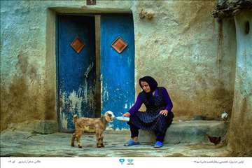 عکسهای منتخب جشنواره تخصصی بیطار