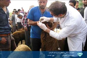 نمایشگاه عکس فعالیت های دامپزشکی