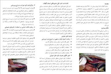 پمفلت های دامپزشکی گیلان 