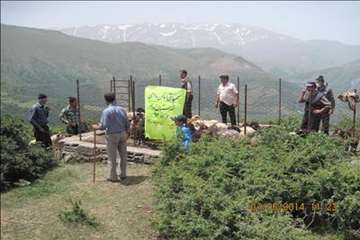 حمام ضد کنه  در مناطق ییلاقی گیلان