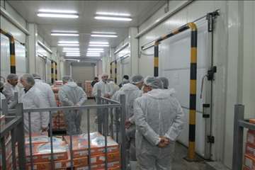 بازدید ریاست سازمان دامپزشکی کشور بهمراه هیئت روسی از مراکز تحت نظارت دامپزشکی گیلان(جوجه کشی و کشتا