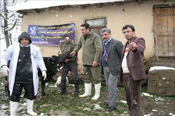 بازدید مدیر کل دامپزشکی گیلان از طرح تجمیع خدمات بهداشتی و دیدار با دامداران عشایر تالش