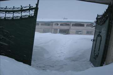 حضور رييس سازمان دامپزشكي و هيات همراه در مناطق برفگير گيلان