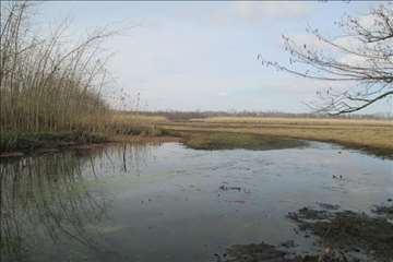 بازدید دکتر خلج از گیلان - دیماه 95