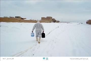 عکسهای منتخب جشنواره تخصصی بیطار