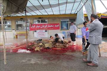 نظارت بهداشتی عید قربان 1395 گیلان به روایت تصویر