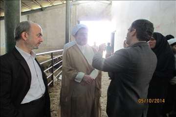 نظارت بهداشتی گیلان در روز عید سعید قربان(1393)