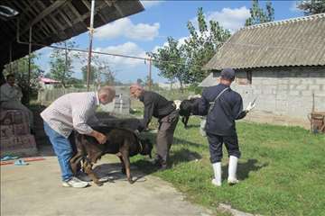 طرح تجمیع عملیات فنی دامپزشکی در مرز دشت خمام به مناسبت هفته دامپزشکی(13 مهر 95)