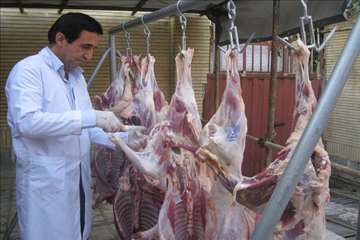 گيلان در روز عيد قربان