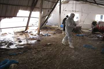 اكيپ عملياتي در برف انزلي و صومعه سرا