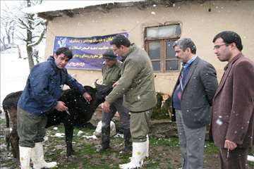 بازدید مدیر کل دامپزشکی گیلان از طرح تجمیع خدمات بهداشتی و دیدار با دامداران عشایر تالش