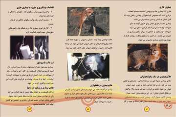 پملفتهای  بهداشتی