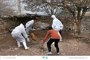 عکسهای منتخب جشنواره تخصصی بیطار