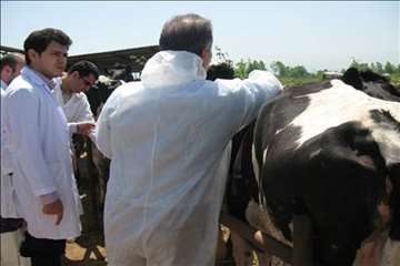 کلاسهای ترویجی بیماری سل و بروسلوز