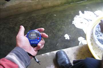 فعالیتهای اداره آبزیان گیلان