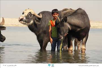 عکسهای منتخب جشنواره تخصصی بیطار