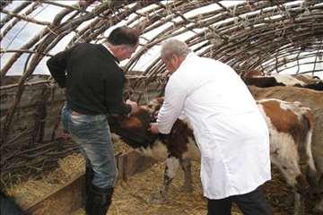 خدمات بهداشتی پیشگیری دامپزشکی گیلان -دهه فجر 94