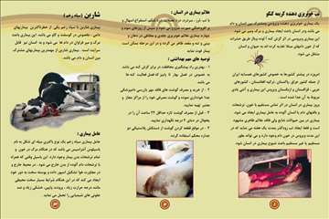 پملفتهای  بهداشتی