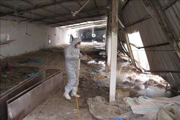 اكيپ عملياتي در برف انزلي و صومعه سرا