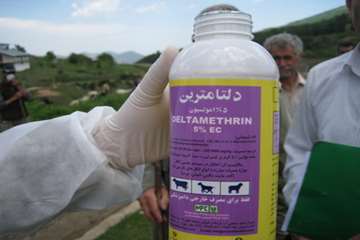 حمام ضد کنه  در مناطق ییلاقی گیلان