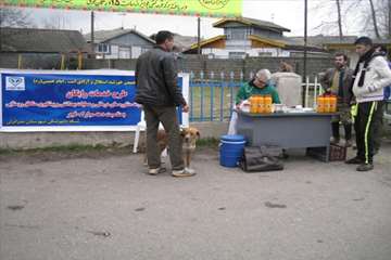 فعالیت های دامپزشکی گیلان در دهه فجر 1393