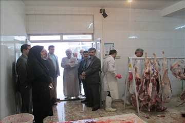 نظارت بهداشتی عید قربان 1395 گیلان به روایت تصویر