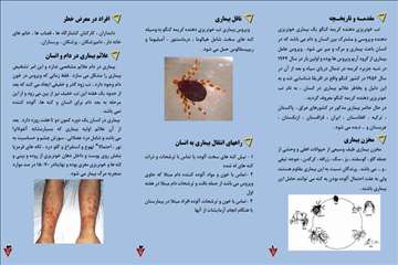 پملفتهای  بهداشتی