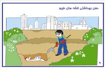 راههای پیشگیری از آنفلوانزای فوق حاد پرندگان