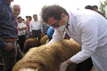 نظارت بهداشتی عید قربان به روایت تصویر(94)-گیلان