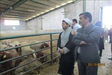 نظارت بهداشتی گیلان در روز عید سعید قربان(1393)