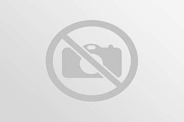 طرح تجمیع عملیات فنی دامپزشکی در مرز دشت خمام به مناسبت هفته دامپزشکی(13 مهر 95)