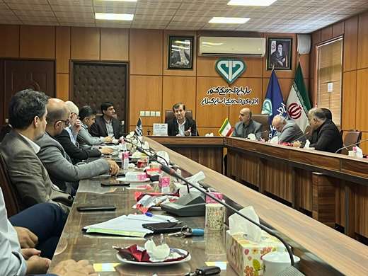 جلسه شورای مدیران دامپزشکی گیلان به ریاست معاون بهداشتی و پیشگیری سازمان دامپزشکی کشور از نگاه دوربین