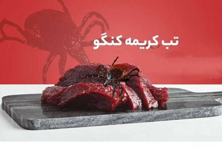اطلاع‌نگاشت آشنایی با بیماری تب کریمه-کنگو (C.C.H.F) 