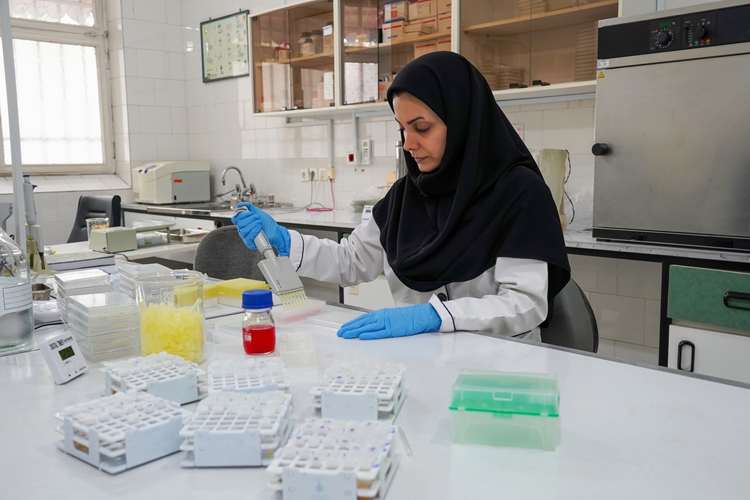 نقش‌آفرینی آزمایشگاه مرکزی گیلان در سطح ملی؛ انجام بیش از ۷۰ هزار آزمون تخصصی و مرجعیت بیماری‌های آبزیان